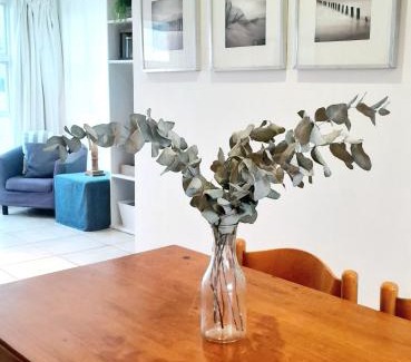 De Kelders Apartment | Mclaren Self Catering