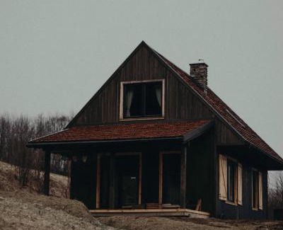 Baligrod House | Mech i brzoza