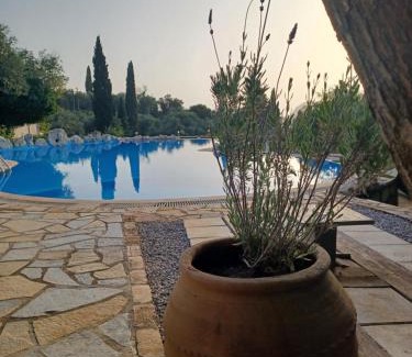 Liapades Apartment | Medusa Lux Apartments