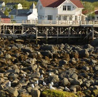 Mefjordvær Resort | Mefjord Brygge