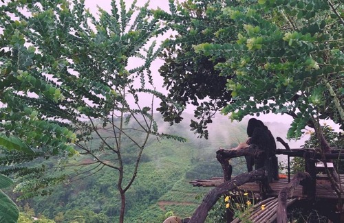Dak R'Lap Villa | Megarden Thung Lũng