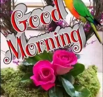 Lohagara Upazila Apartment | Mehedy