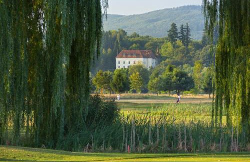 Steinakirchen am Forst Apartment | Meierhof