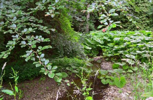 Minto House | Melgund Glen Lodge
