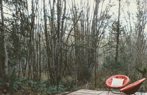 Nordland RV Rental | Memorable Forest Stay with Hot Tubs + Beaches nearby