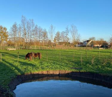 Oosteeklo Bed & Breakfast | Memories