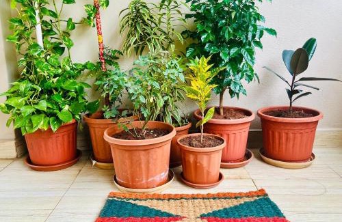 Vijayawada House | Meraki Home