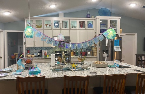 Spring Hill House | Mermaids, Manatees, Kayaking, Swimming in the Spring Waters of the Weeki Wachee