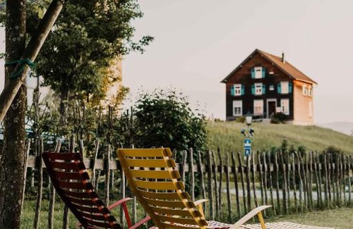 Bildstein Apartment | Mesmerhaus