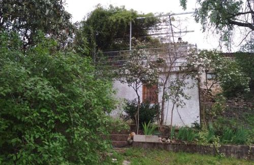 Hornos House | Mesoncillo NEO