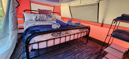 Mount Morgan Other | Meyenburg Glamping