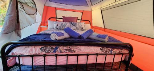 Mount Morgan Other | Meyenburg Glamping