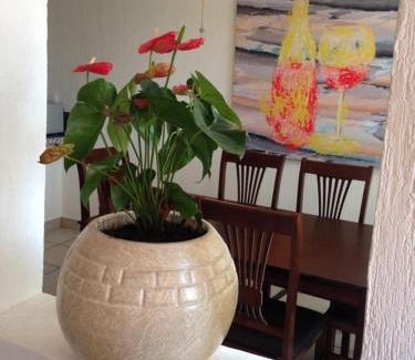 Zona Centro Apartment | Mi Depa Mango