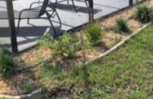 Hawthorne House | Micanopy Dream Home