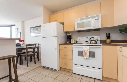 South Loop Condo | MICH AVE Downtown, Grant Park, Museums #25 2bd/2ba
