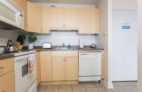 South Loop Condo | MICH AVE Downtown, Grant Park, Museums #25 2bd/2ba