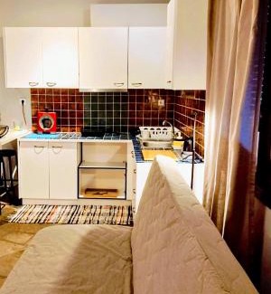 Agria House | MickeyHouse