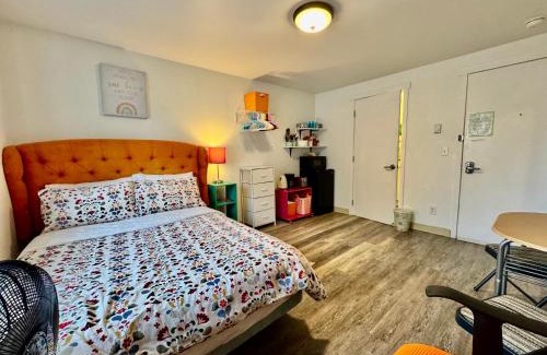 University District Apartment | Micro Studio Apartment in University District- 10 mins walk to University of WA