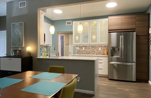Lake Dot House | Mid-Century Chic in Old Orlando's College Park