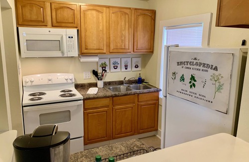 Mobile Apartment | Mid Century Remodeled Suite in Midtown – 20A