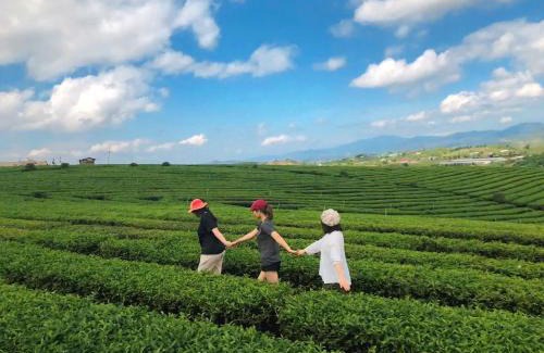 Lam Ha House | Midori Farm