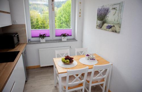 Wegierska Gorka Apartment | Mieszkanie Węgierska Górka