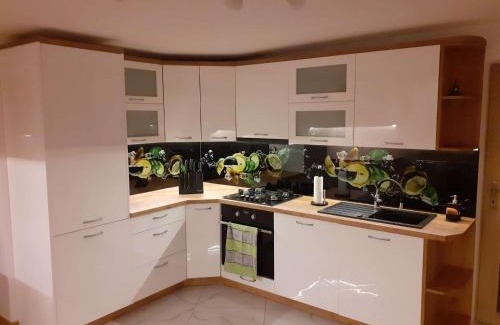 Ochotnica Dolna Apartment | Mieszkanie z niezależnym wejściem