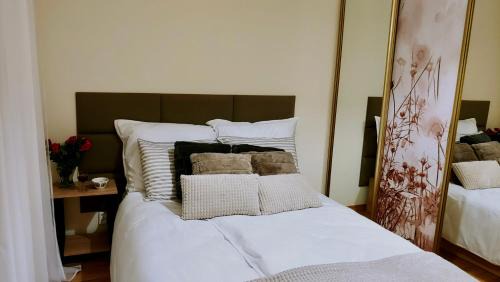 Mikoow Apartment | Mikołowski Sen