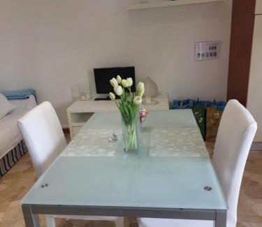 Segnano Apartment | Milan Panoramic Top Floor Flat