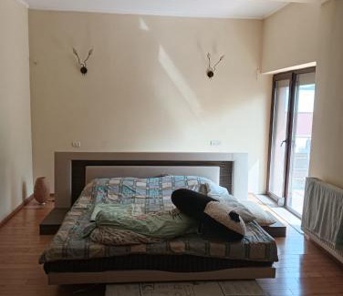 Voluntari Villa | Millo residence