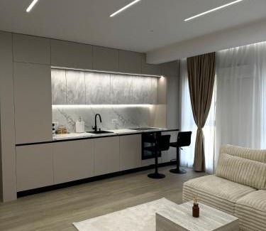 Timisoara Apartment | Milo Residence
