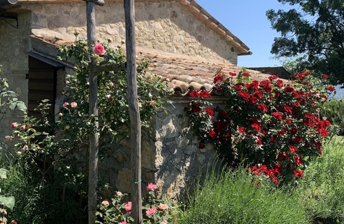 Orvieto Apartment | Milva's Nest Botto