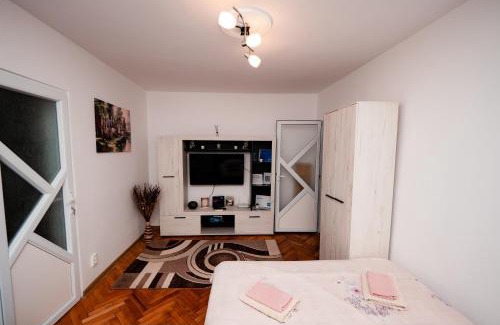 Baile Herculane Apartment | Mim's Home
