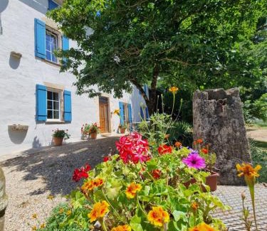 Barie House | Mimosa