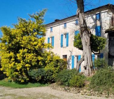 Barie House | Mimosa