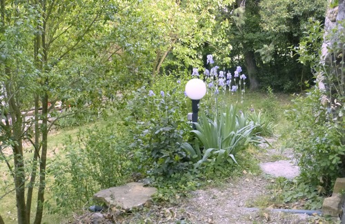 Thoiras Cottage | Mimosa on a hillside gite 4/6 p. Mas EDEN independent open view