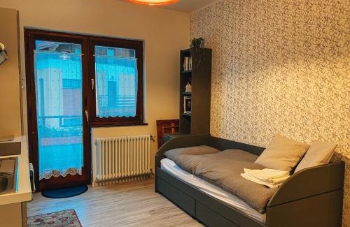 Sutrio Apartment | Mini appartamento panoramico