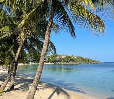 Antoneys Cay House | Mini suite