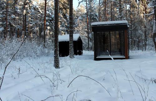 Kahala Apartment | Minimaja ja saunamaja vaatega männimetsale
