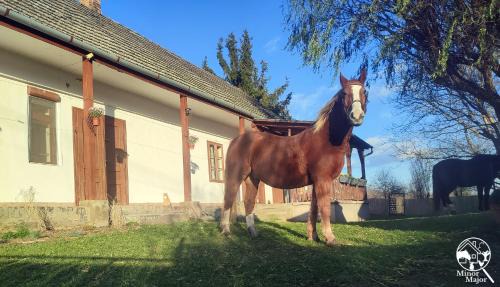 Somogyacsa House | Minor Major Vendégház