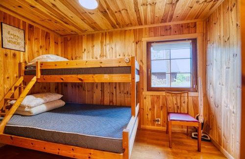 Kamienica Krolewska Ski Chalet | Miotkowo