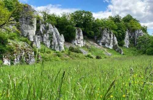 Solnhofen Apartment | Mitten im Altmühltal - 110 qm