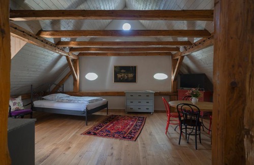 Salajna Apartment | Mlýn Salajna