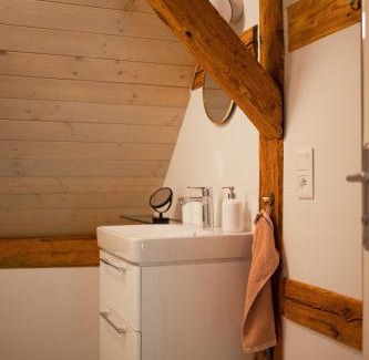 Salajna Apartment | Mlýn Salajna