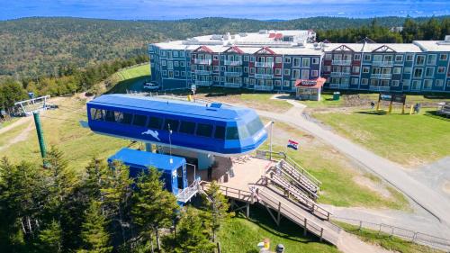 Snowshoe Apartment | ML316 Stylish Modern Breathtaking Mtn And Trail View EZ Parking