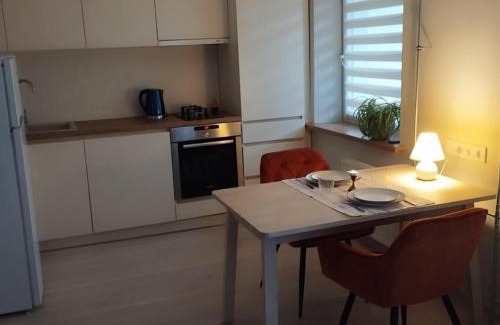 Anyksciai Apartment | Močiutės apartamentai