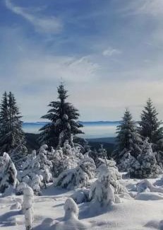 Munster Other | Mobile home 6personnes ,Alsace , munster France