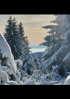 Munster Other | Mobile home 6personnes ,Alsace , munster France