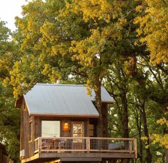 Elm Mott Other | Mockingbird Treehouse 15 MIN to MagnoliaBaylor
