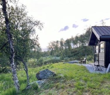 Al House | Modern Ål Cabin At The Foot Of Reinskarvet